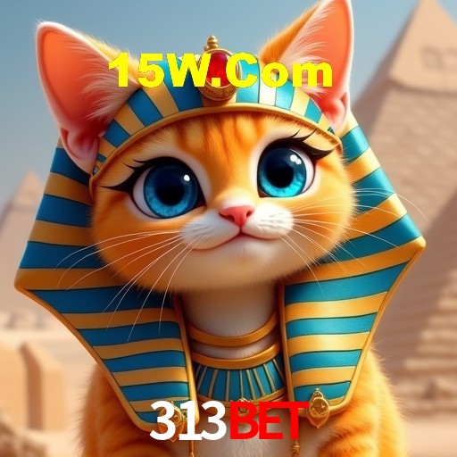 Interface Premium 313bet