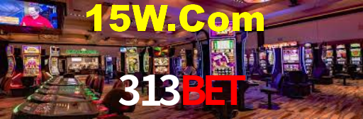 313bet.com